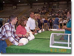 Showmanship Judging